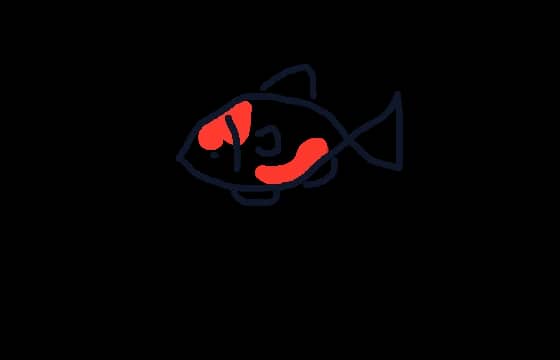 把海弄干的鱼