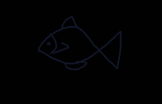 Midnight Sketcher