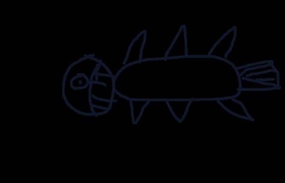 Spike
