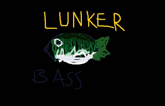 LUNKER BASS