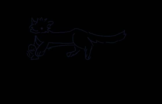 Otter