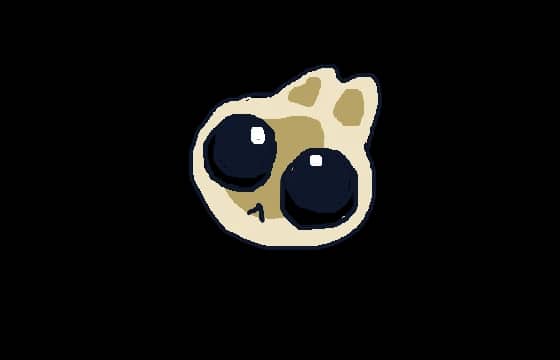 圆圆大眼