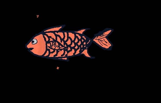 橙色小fish