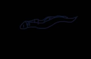 Slither Vance