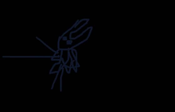 Hornet