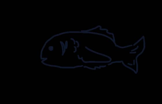 박 도미