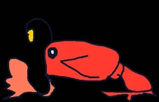 レッド