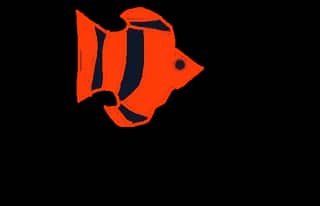 Nemo Rayado
