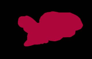 Crimson Blobfish