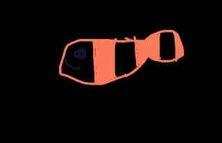 Stripe Orange Fish