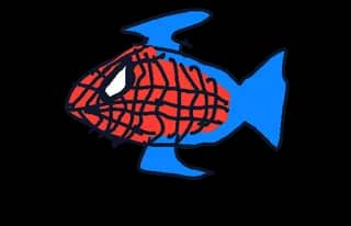 スパイダーマン
