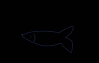 海湾