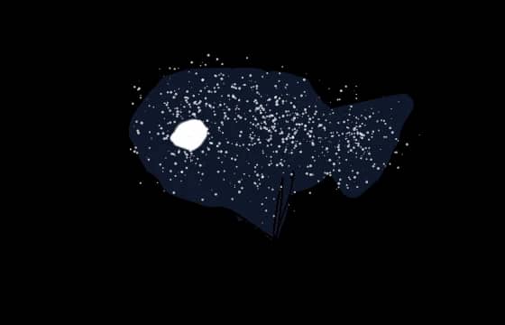 星宝