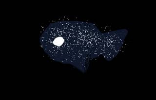星宝