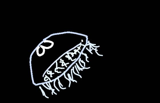 Moon Jelly 1