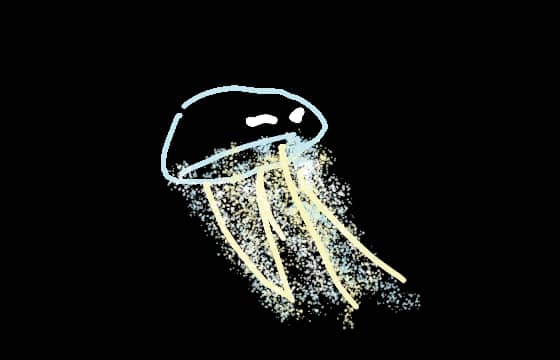Jellyfish