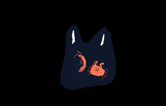 深渊口袋