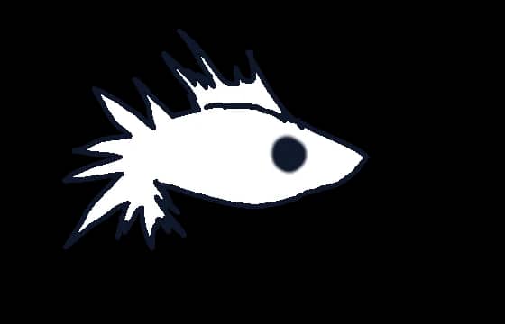 가시 로드리고