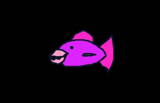 Trigger fish
