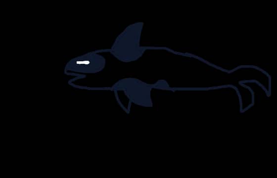 Shadow