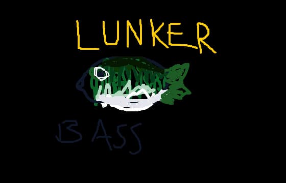 LUNKER BASS