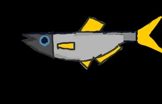 Zap