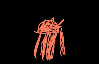 Shelly Squiggles