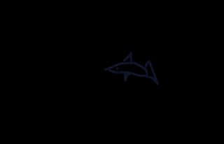 Silas Shadow