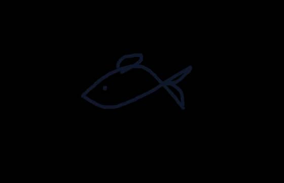 Finnley the Minimalist