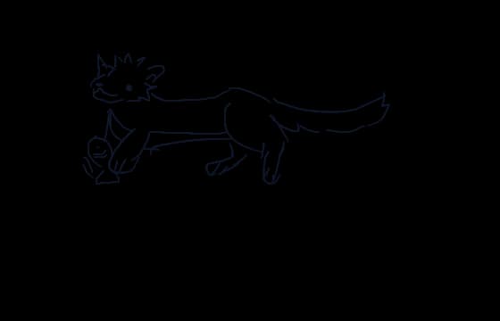 Otter