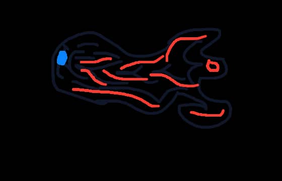 Erebus