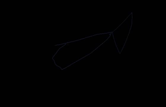 Dart