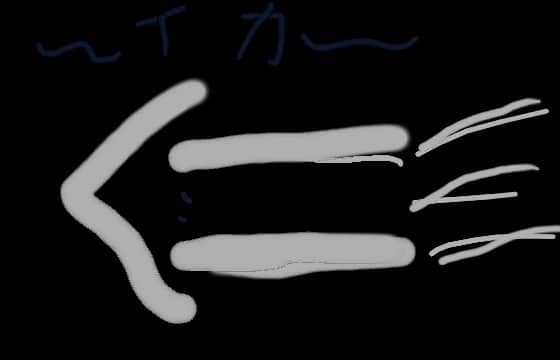 あほイカ