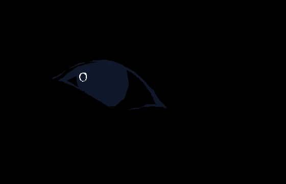“注视”