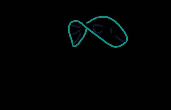 Loop the Loopy