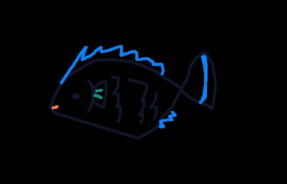 바다