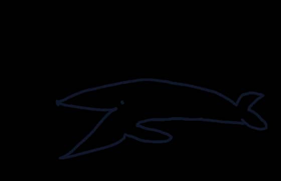 whale