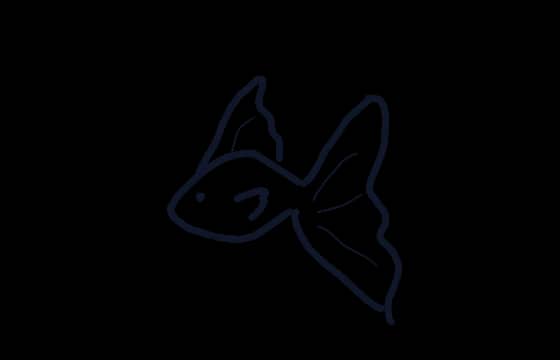 밤하늘꼬리