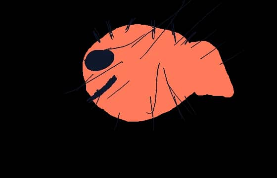 Prickles McSpike