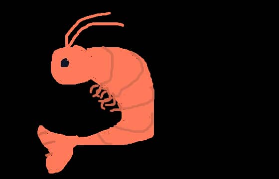 Shrimpa